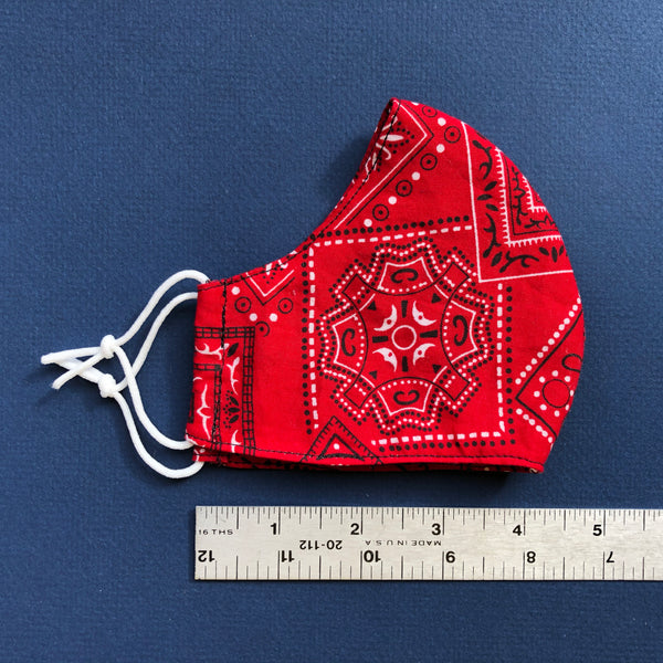 Small Mask in Red Bandana